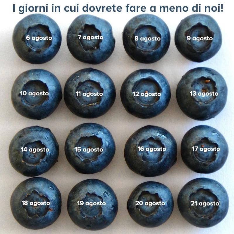 Pausa estiva e procedura di messa a riposo delle stampanti Mutoh Pausa estiva e procedura di messa a riposo delle stampanti Mutoh